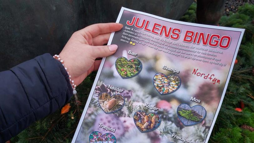 Julens bingoplade til naturoplevelser