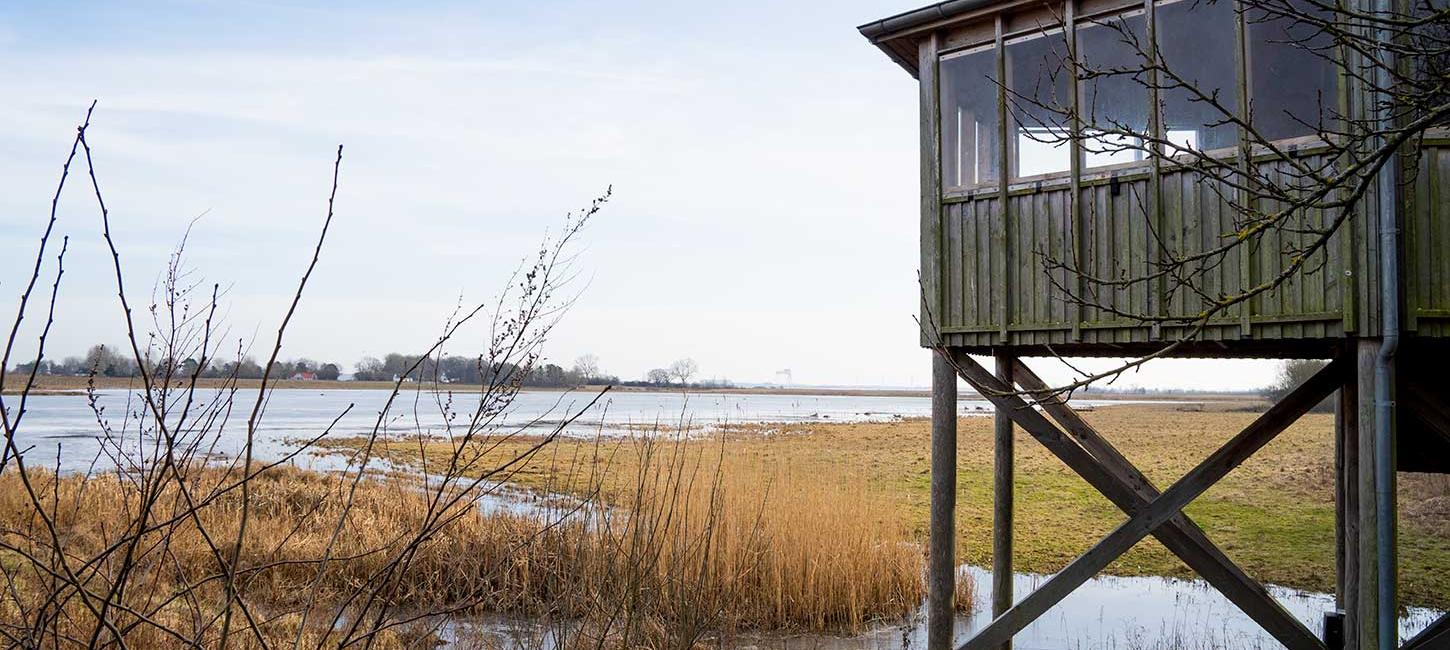 Udsigt over Ølundgård, Lammesø og Odense Fjord ved fugletårnet