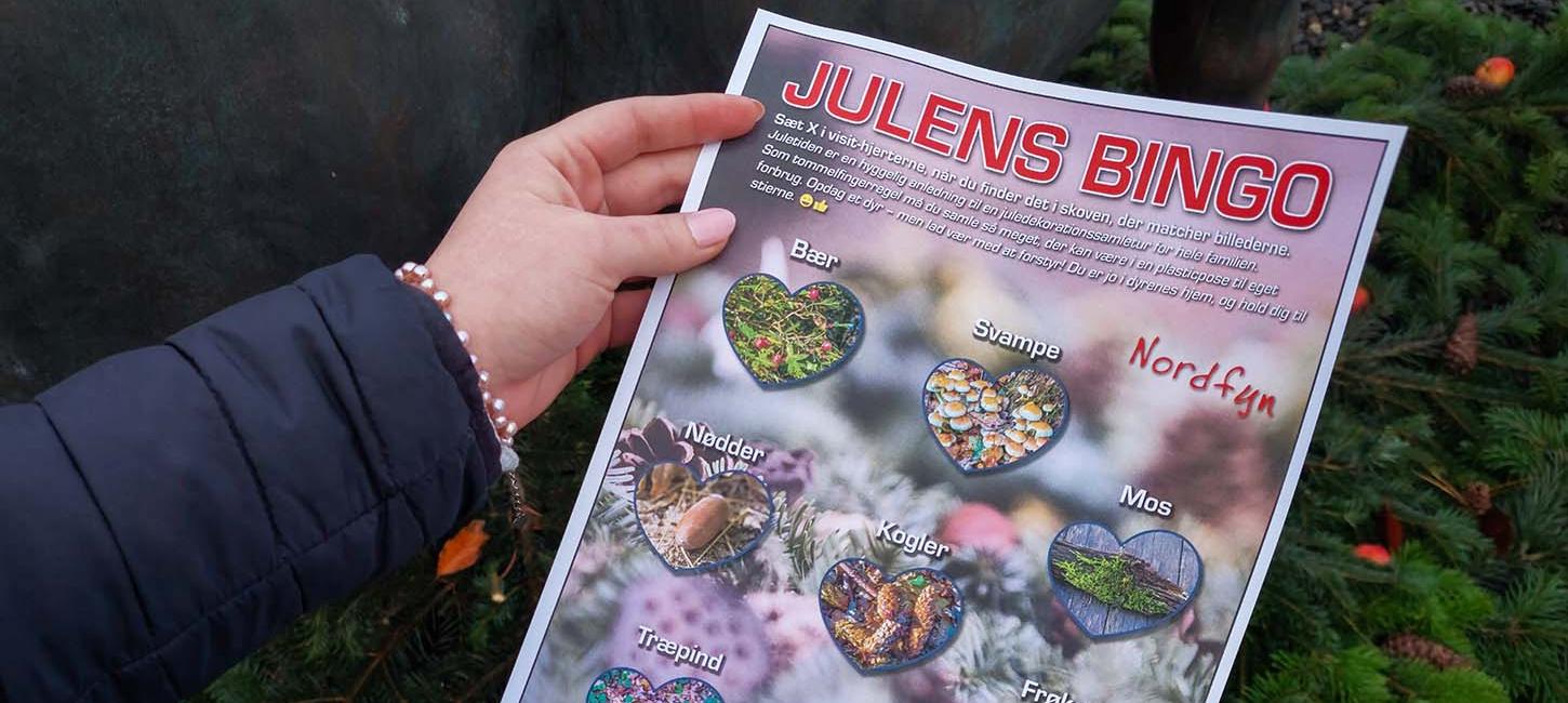 Julens bingoplade til naturoplevelser