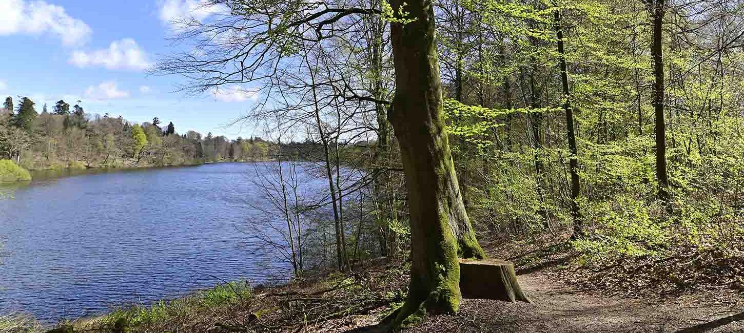 Langesø udsigt over søen og træer i forår 