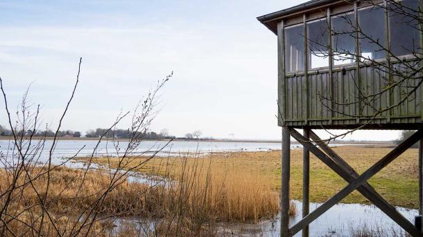 Udsigt over Ølundgård, Lammesø og Odense Fjord ved fugletårnet